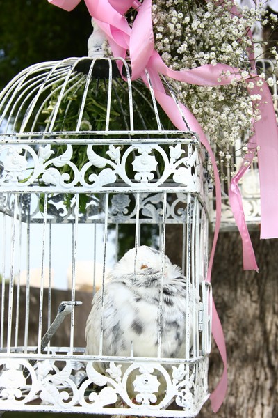 Corine & Marc Wedding